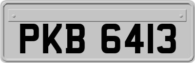 PKB6413