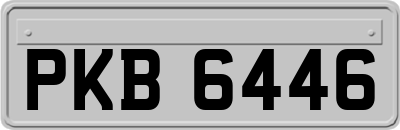 PKB6446