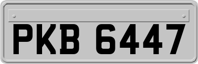 PKB6447
