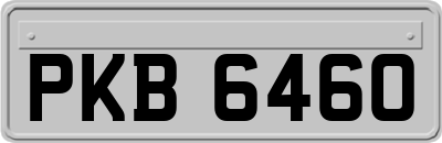 PKB6460