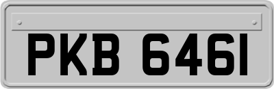 PKB6461