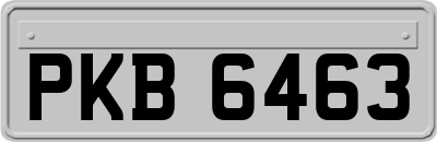 PKB6463