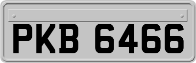 PKB6466