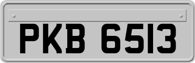 PKB6513