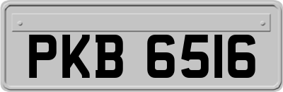 PKB6516