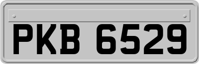 PKB6529