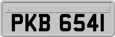 PKB6541