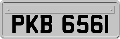 PKB6561