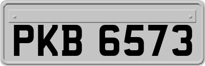 PKB6573