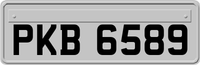 PKB6589