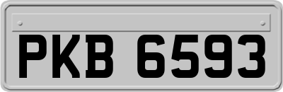 PKB6593