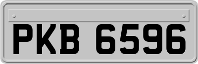 PKB6596
