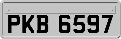 PKB6597