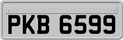 PKB6599