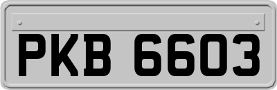 PKB6603