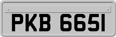 PKB6651
