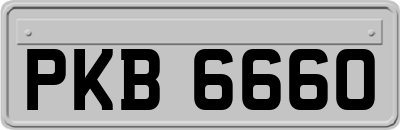 PKB6660