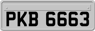 PKB6663