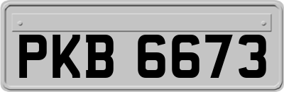 PKB6673