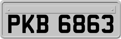 PKB6863