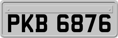 PKB6876