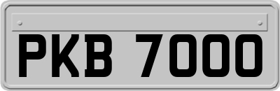 PKB7000