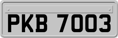 PKB7003
