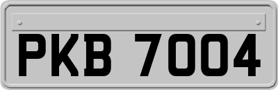 PKB7004