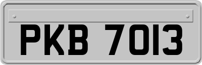 PKB7013