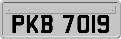 PKB7019
