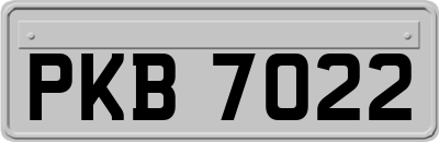 PKB7022
