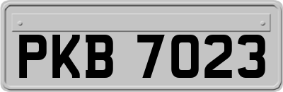 PKB7023