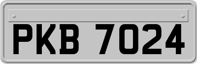 PKB7024