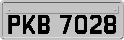 PKB7028
