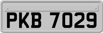 PKB7029
