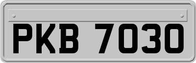 PKB7030
