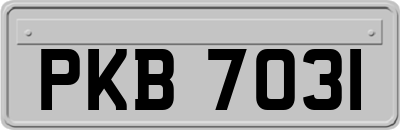 PKB7031