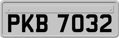 PKB7032