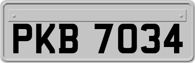 PKB7034