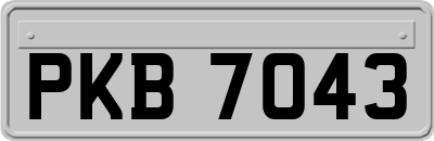 PKB7043