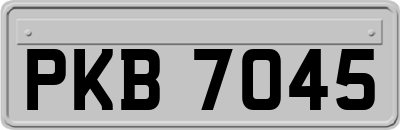 PKB7045