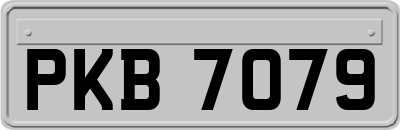 PKB7079