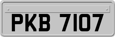 PKB7107