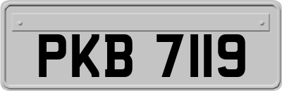 PKB7119