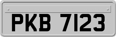 PKB7123