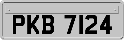 PKB7124