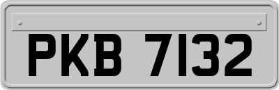 PKB7132