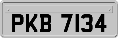 PKB7134