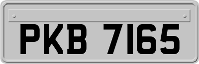 PKB7165