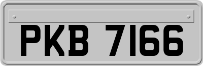 PKB7166